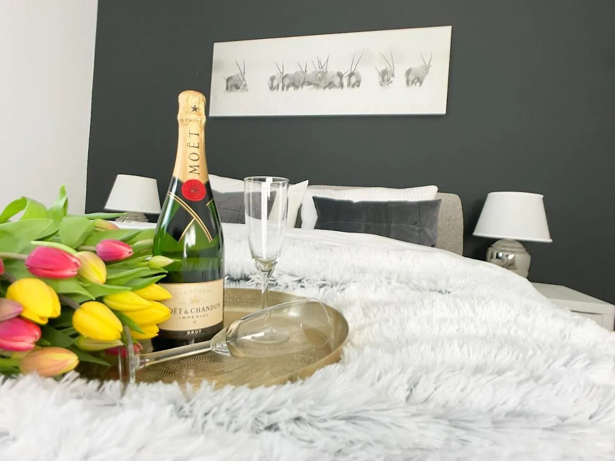M-Style 01 Apartment Mit Terrasse Und Gasgrill, 24H Self-Check-In, Free Parking, Netflix Norimberga